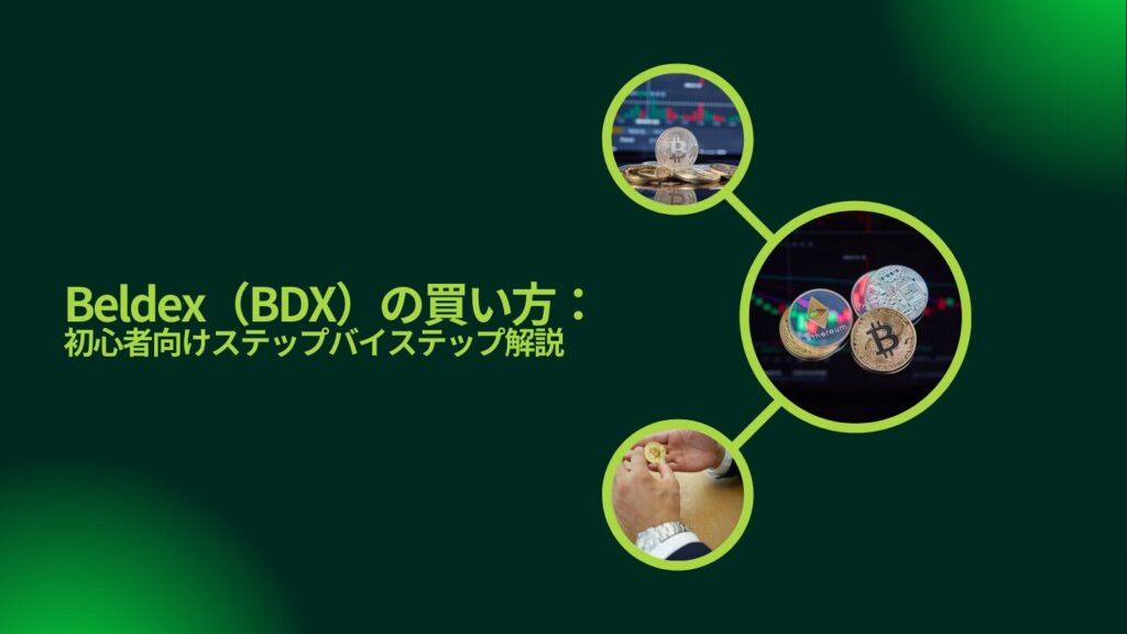 Beldex（BDX）の買い方：初心者向けステップバイステップ解説