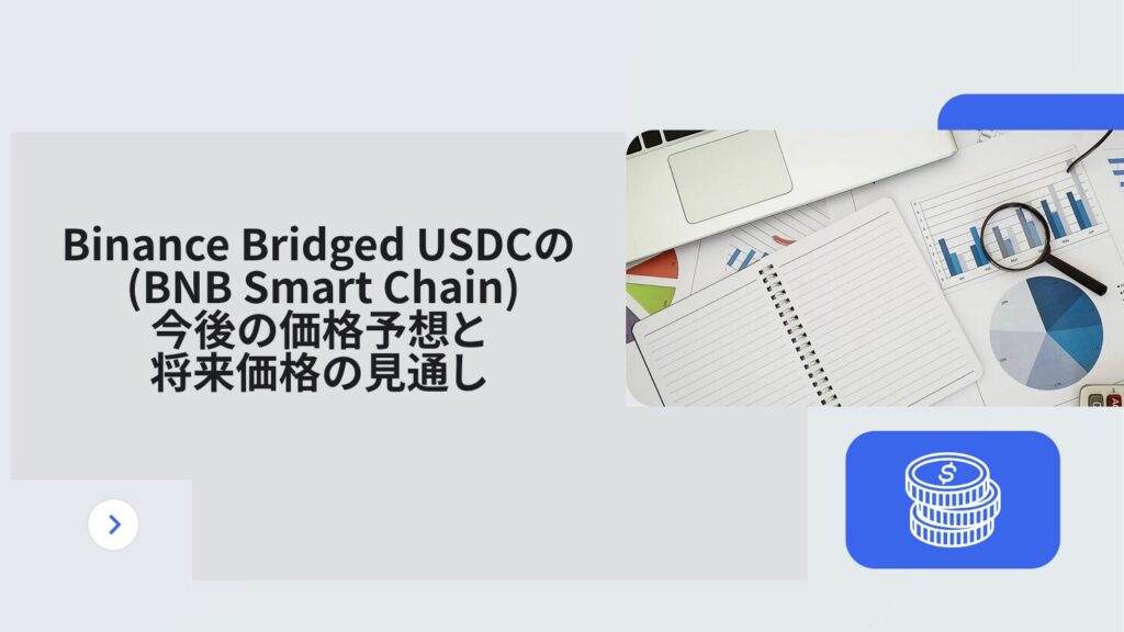 Binance Bridged USDC (BNB Smart Chain)の今後の価格予想と将来価格の見通し